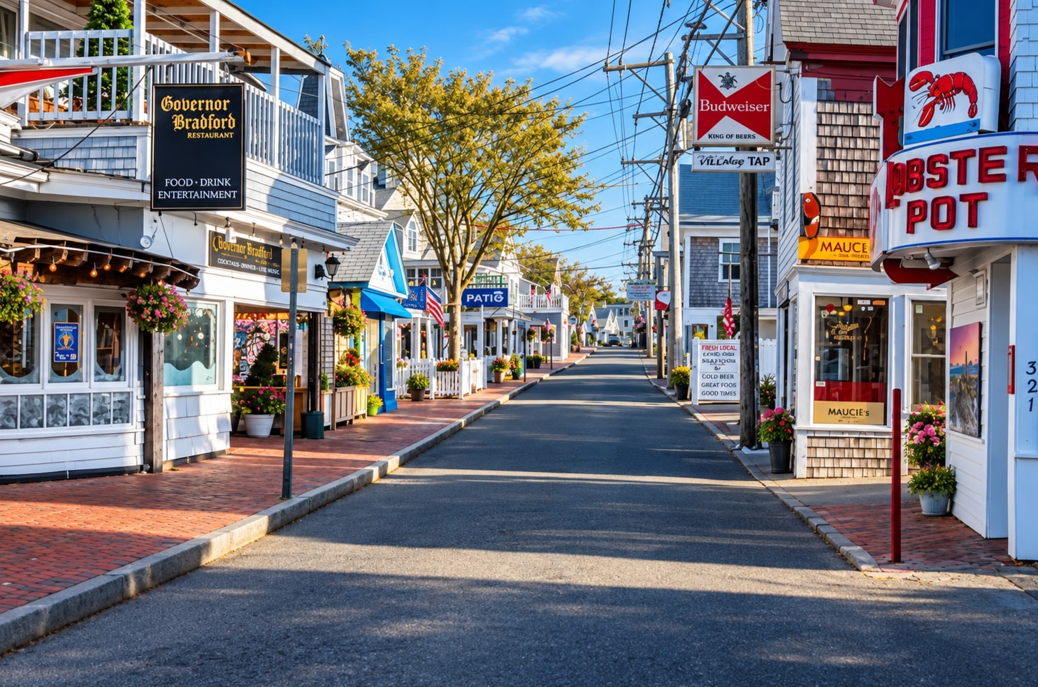 Quiet residential street in Provincetown's West End